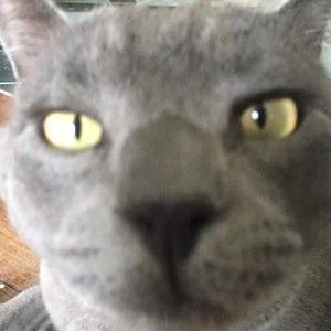 Meet your Posher, Catherine